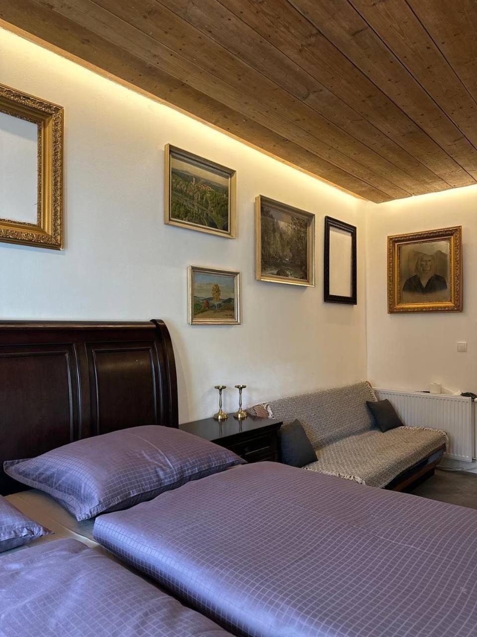 Pension Merano Jetrichovice  Buitenkant foto