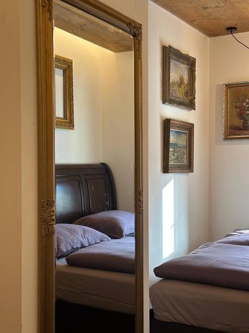 Pension Merano Jetrichovice  Buitenkant foto